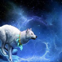 медитация тотем волка